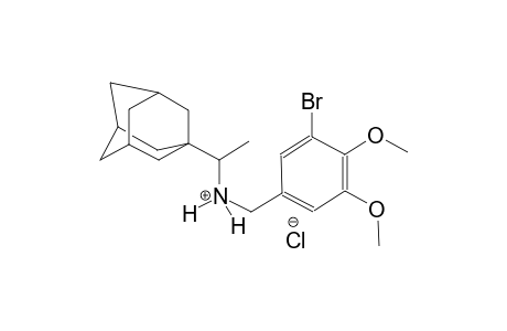 1-(1-adamantyl)-N-(3-bromo-4,5-dimethoxybenzyl)ethanaminium chloride
