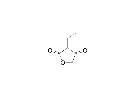 2,4(3H,5H)-Furandione, 3-propyl-