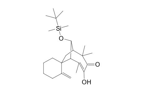 rac[1R,1'R,6'S,9'R]-spiro{2-Methylenocyclohexane-1,7'-9'-[(tert-Butyldimethylsilyl)oxy]-4-hydroxy-2',2',5'-trimethylbicyclo[4.2.1]nona-4'-en-3'-one}