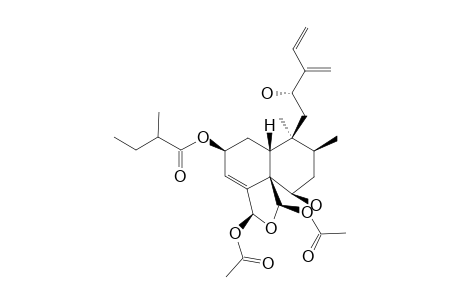 CASEARLUCIN-H;(2S,5R,6R,8S,9S,10R,12R,18S,19R)-18,19-DIACETOXY-18,19-EPOXY-6,12-DIHYDROXY-2-(2-XI-METHYLBUTANOYLOXY)-CLERODA-3,13(16),14-TRIENE
