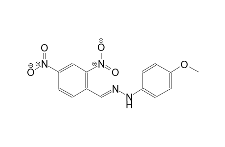 2,4-dinitrobenzaldehyde (4-methoxyphenyl)hydrazone