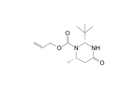 (2R,6S)-2-tert-butyl-4-keto-6-methyl-hexahydropyrimidine-1-carboxylic acid allyl ester