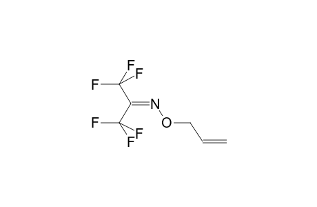 HEXAFLUOROACETONOXIME, O-ALLYL ETHER