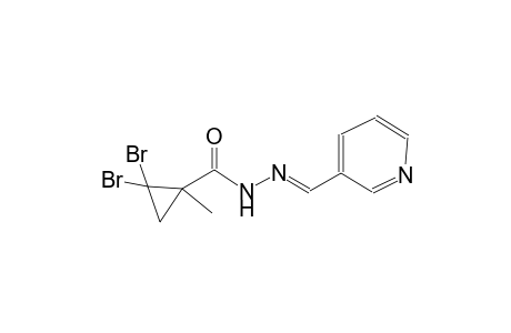 2,2-dibromo-1-methyl-N'-[(E)-3-pyridinylmethylidene]cyclopropanecarbohydrazide