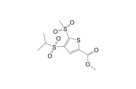 Thiophene-2-carboxylic acid, 4-isopropylsulfonyl-5-methylsulfonyl-, methyl ester