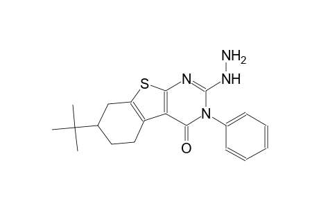 7-tert-butyl-2-hydrazino-3-phenyl-5,6,7,8-tetrahydro[1]benzothieno[2,3-d]pyrimidin-4(3H)-one