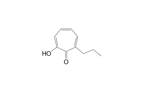 2,4,6-Cycloheptatrien-1-one, 2-hydroxy-7-propyl-
