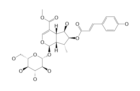 CAUDATOSIDE-D;7-P-COUMARYL-5-DEOXYPULCHELLOSIDE-I