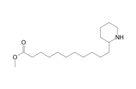 11-(2-Piperidyl)undecanoic acid methylester