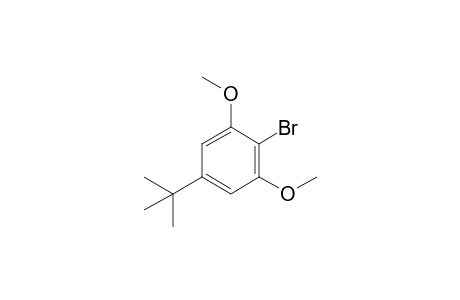 2-Bromo-5-tert-butyl-1,3-dimethoxybenzene