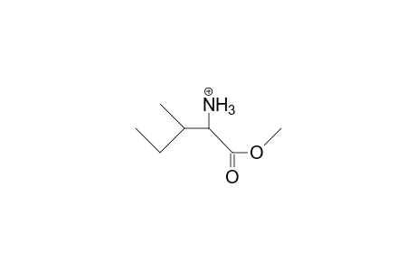 Isoleucine methyl ester cation