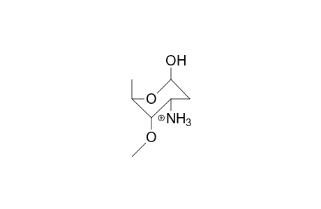 Methyl.alpha.-L-ristoaminide cation