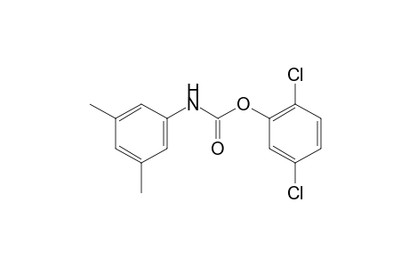 3,5-dimethylcarbanilic acid, 2,5-dichlorophenyl ester