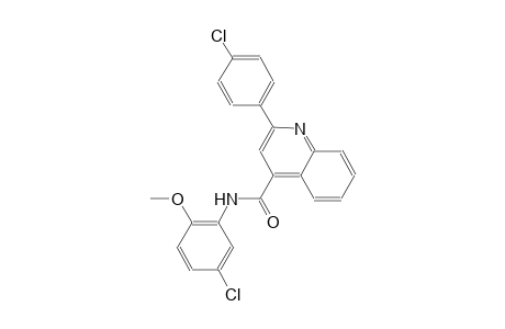 N-(5-chloro-2-methoxyphenyl)-2-(4-chlorophenyl)-4-quinolinecarboxamide