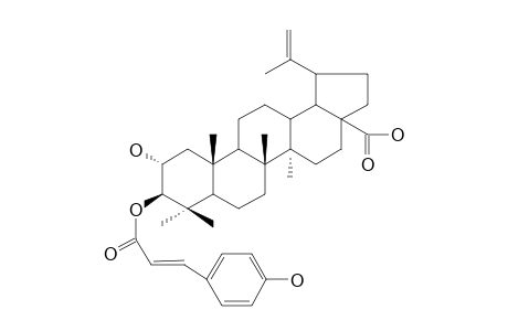 3-BETA-O-TRANS-PARA-COUMAROYL-ALPHITOLIC_ACID