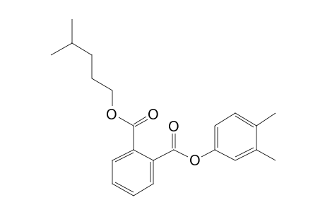 Phthalic acid, 3,4-dimethylphenyl isohexyl ester