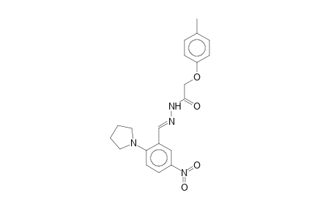 2-(4-Methylphenoxy)-N-[(E)-(5-nitro-2-pyrrolidin-1-yl-phenyl)methyleneamino]acetamide