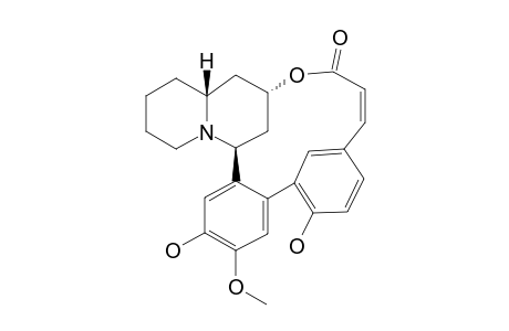 EPI-LYFOLINE