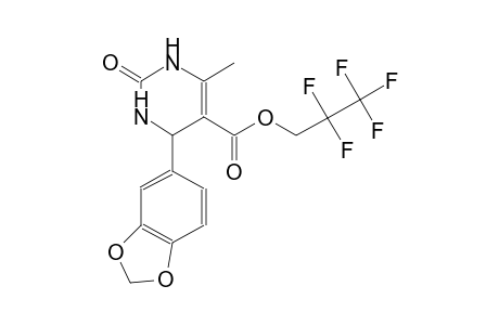 2,2,3,3,3-Pentafluoropropyl 4-(1,3-benzodioxol-5-yl)-6-methyl-2-oxo-1,2,3,4-tetrahydro-5-pyrimidinecarboxylate