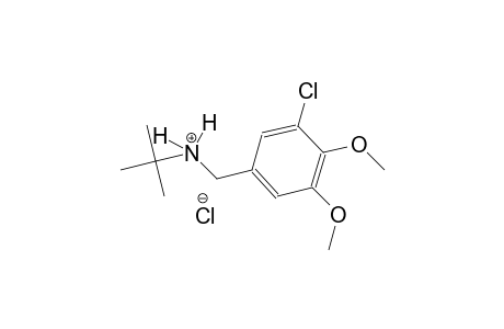 N-(3-chloro-4,5-dimethoxybenzyl)-2-methyl-2-propanaminium chloride