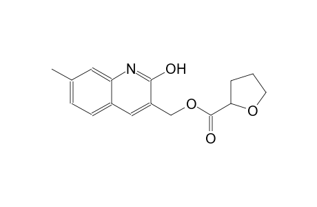 (2-hydroxy-7-methyl-3-quinolinyl)methyl tetrahydro-2-furancarboxylate