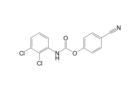 p-HYDROXYBENZONITRILE, 2,3-DICHLOROCARBANILATE