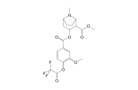 Cocaine-M (HO-methoxy-) TFA