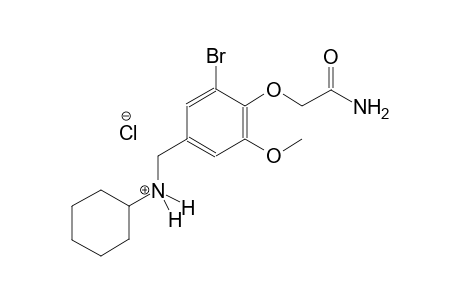 N-[4-(2-amino-2-oxoethoxy)-3-bromo-5-methoxybenzyl]cyclohexanaminium chloride