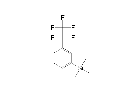 1-(Pentafluoroethyl)-3-(trimethylsilyl)benzene