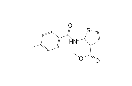 methyl 2-[(4-methylbenzoyl)amino]-3-thiophenecarboxylate