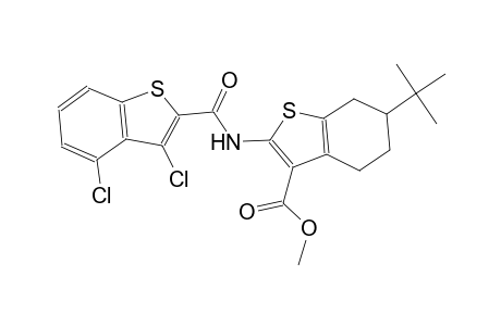 methyl 6-tert-butyl-2-{[(3,4-dichloro-1-benzothien-2-yl)carbonyl]amino}-4,5,6,7-tetrahydro-1-benzothiophene-3-carboxylate