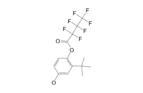 Phenol, 3-tert-butyl-4-heptafluorobutyrloxy-