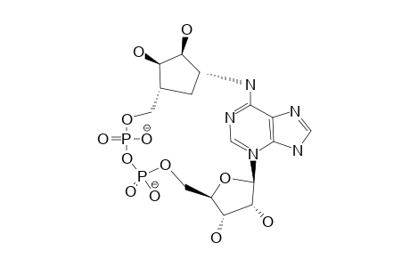 N-(6)-CYCLIC-ADP-CARBOCYCLIC-RIBOSE