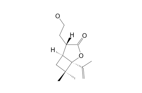 REL-(1R,4R,5R)-4-(2-HYDROXYETHYL)-7,7-DIMETHYL-1-ISOPRENYL-2-OXA-BICYCLO-[3.2.0]-HEPTAN-3-ONE
