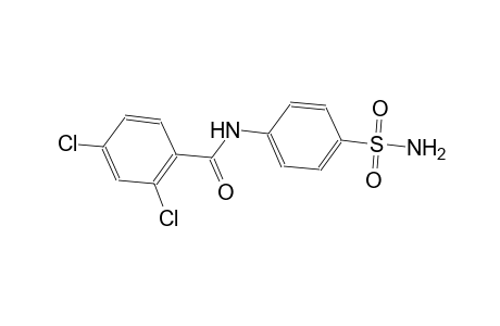 N-[4-(aminosulfonyl)phenyl]-2,4-dichlorobenzamide