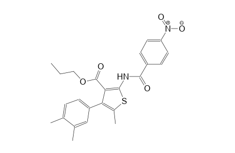 propyl 4-(3,4-dimethylphenyl)-5-methyl-2-[(4-nitrobenzoyl)amino]-3-thiophenecarboxylate