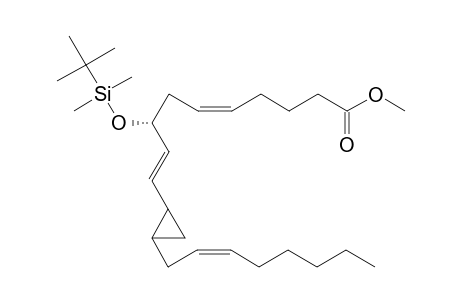Methyl-8(R*)-tert-butyldimethylsiloxy-11,12-cyclopropyl-5(Z),9(E),14(Z)-eicosatrienoate