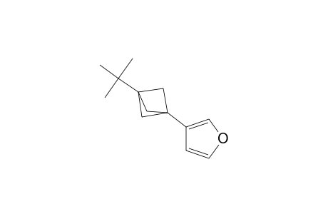 3-(3-tert-butyl-1-bicyclo[1.1.1]pentanyl)furan