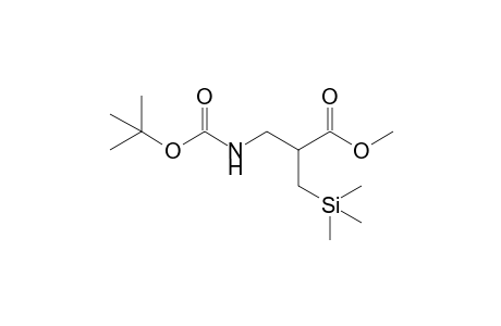 2-[(tert-butoxycarbonylamino)methyl]-3-trimethylsilyl-propionic acid methyl ester