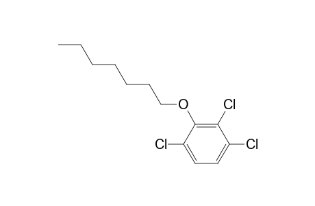 2,3,6-Trichlorophenyl heptyl ether