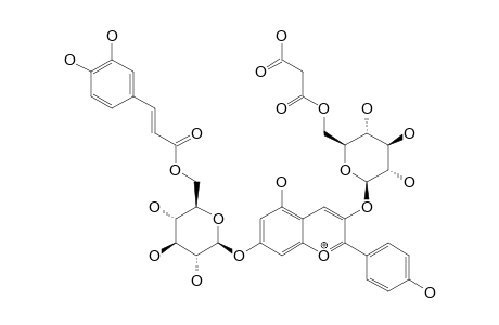 PELARGONIDIN-3-O-(6-O-(MALONYL)-BETA-D-GLUCOPYRANOSIDE)-7-O-(6-O-(TRANS-CAFFEYL)-BETA-D-GLUCOPYRANOSIDE)