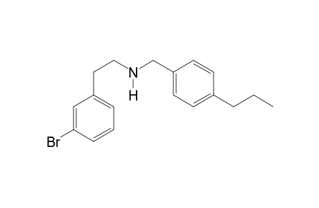 2-(3-Bromophenyl)-N-[(4-propylphenyl)methyl]ethan-1-amine