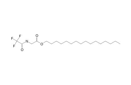 Glycine, N-trifluoroacetyl-, hexadecyl ester