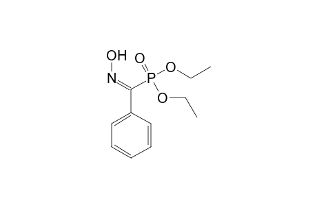 Phosphonic acid, [(hydroxyimino)phenylmethyl]-, diethyl ester