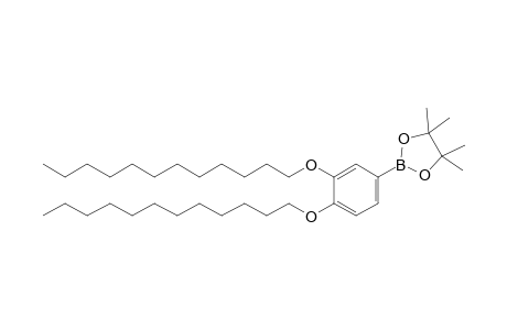 2-[3,4-Bis(dodecyloxy)phenyl]-4,4,5,5-tetramethyl-1,3,2-dioxaborolane