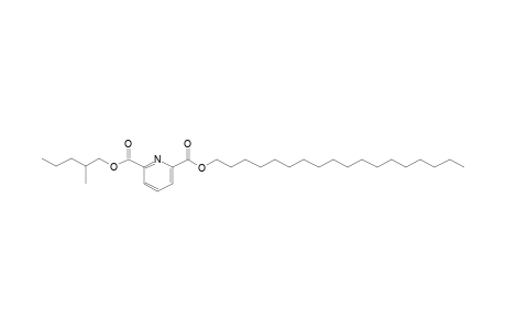 2,6-Pyridinedicarboxylic acid, 2-methylpentyl octadecyl ester