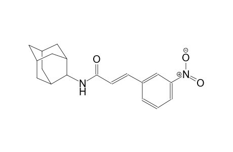 (2E)-N-(2-adamantyl)-3-(3-nitrophenyl)-2-propenamide