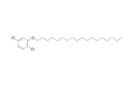 2,5-Dichlorophenyl octadecyl ether