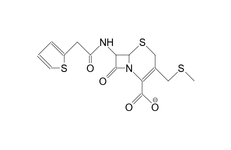 7-(2-[2]Thienyl-acetamido)-desacetoxy-3'-methylthio-cephalosporanic acid, anion