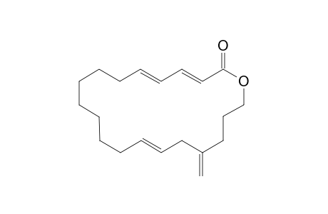 (3E,5E,14E)-17-methylene-1-oxacycloeicosa-3,5,14-trien-2-one